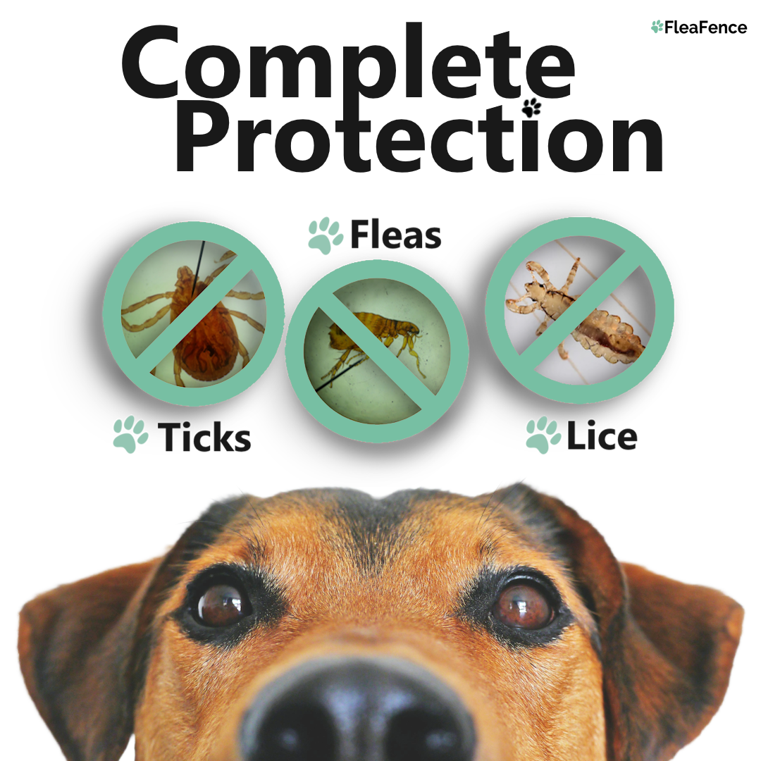 FleaFence™ 8-Month Natural Flea & Tick Defense Collar