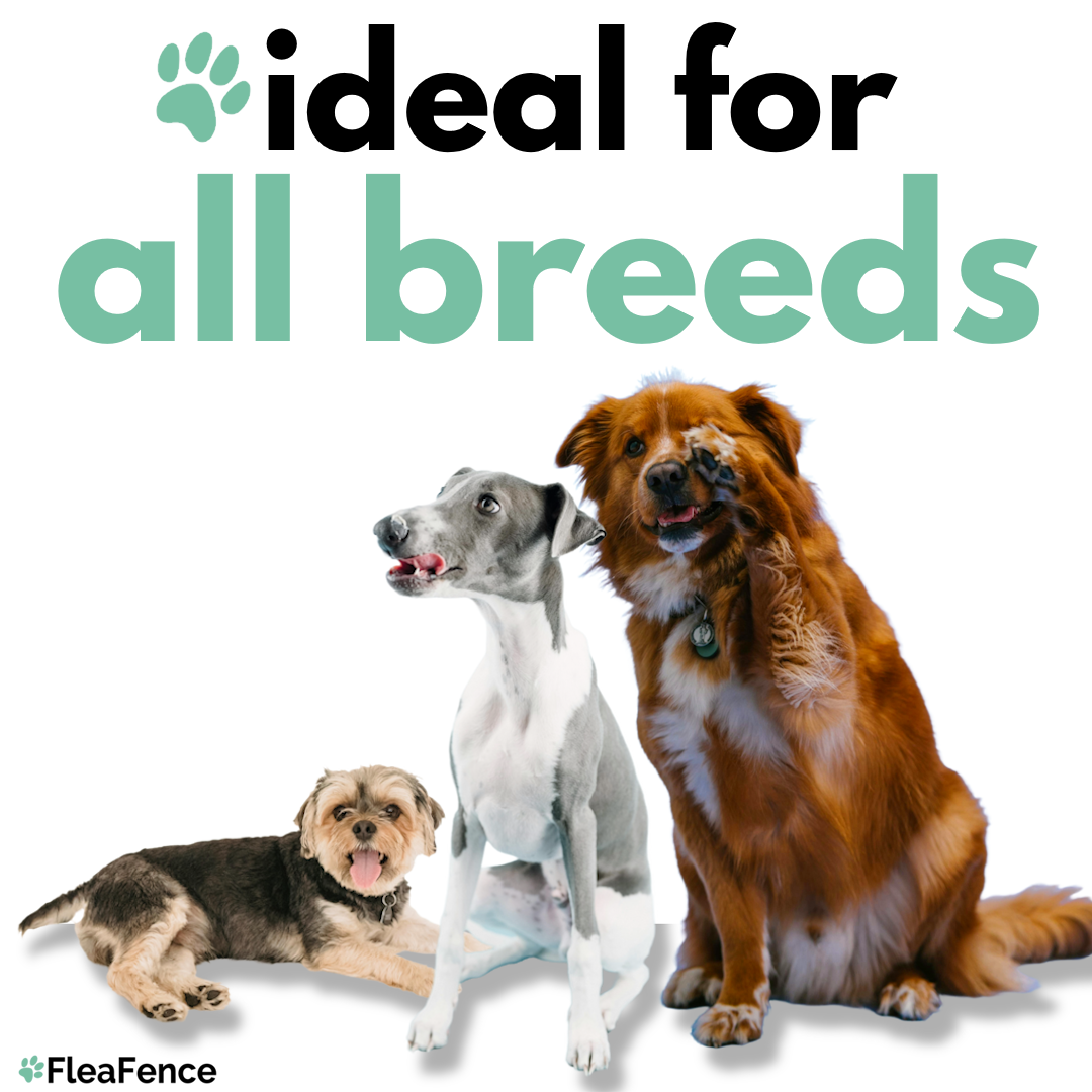 FleaFence™ 8-Month Natural Flea & Tick Defense Collar