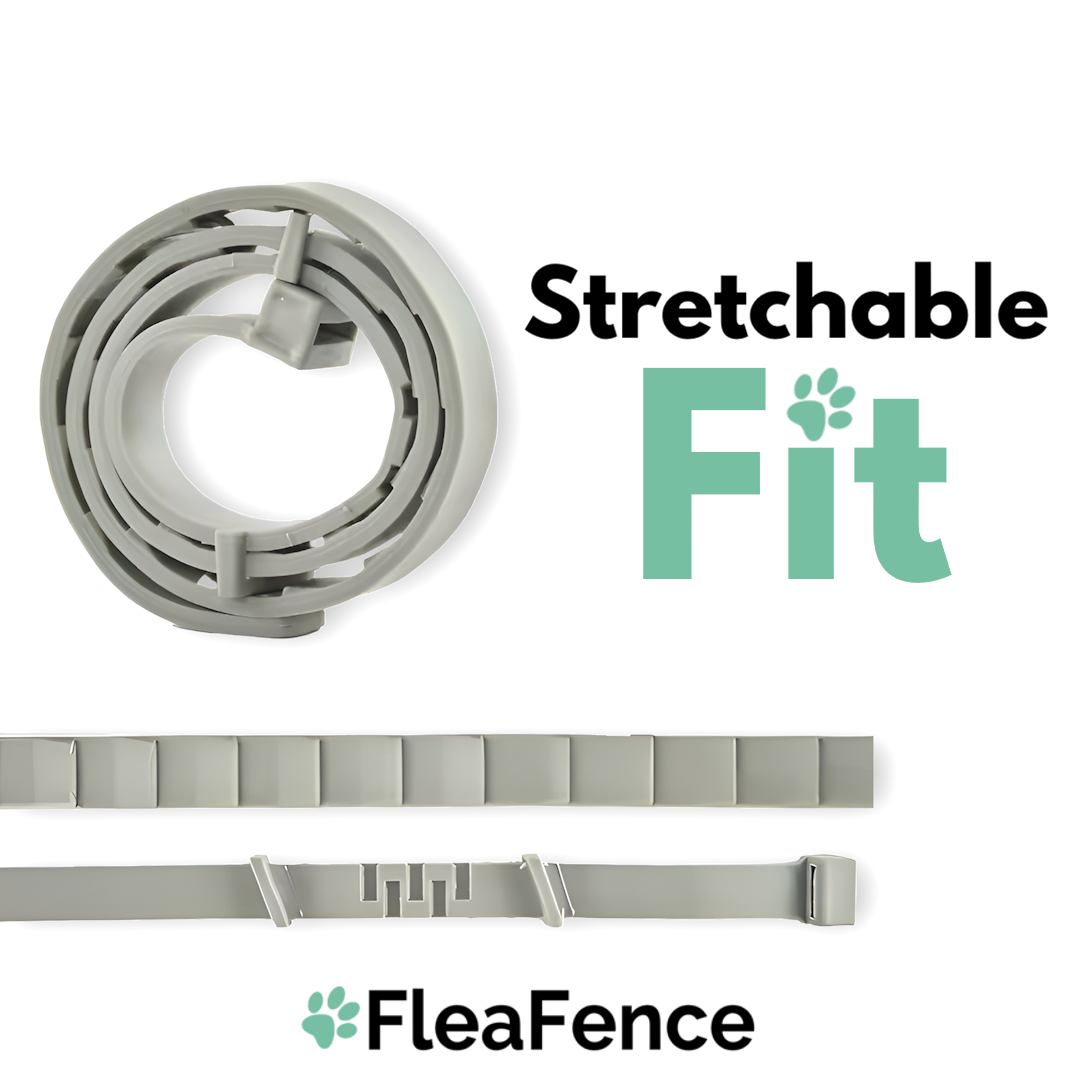 FleaFence™ 8-Month Natural Flea & Tick Defense Collar